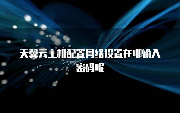 天翼云主机配置网络设置在哪输入密码呢
