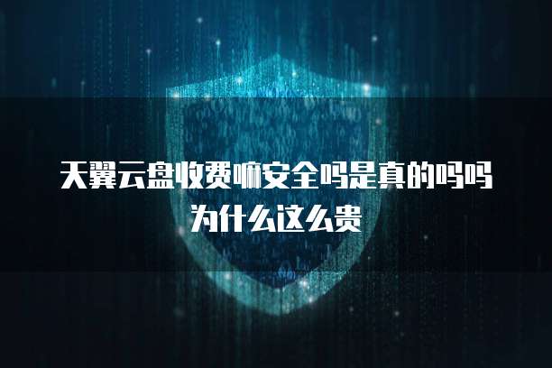 天翼云盘收费嘛安全吗是真的吗吗为什么这么贵