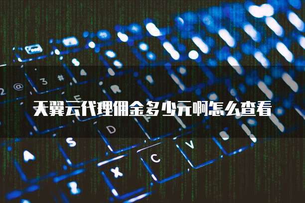 天翼云代理佣金多少元啊怎么查看