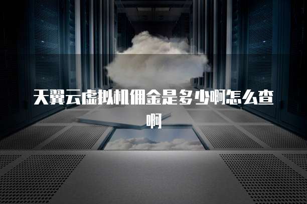 天翼云虚拟机佣金是多少啊怎么查啊