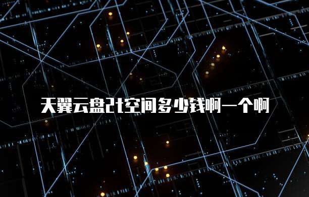 天翼云盘2t空间多少钱啊一个啊