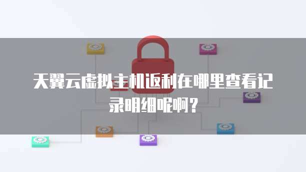 天翼云虚拟主机返利在哪里查看记录明细呢啊？
