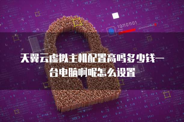 天翼云虚拟主机配置高吗多少钱一台电脑啊呢怎么设置