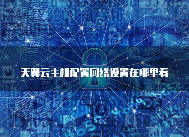 天翼云主机配置网络设置在哪里看