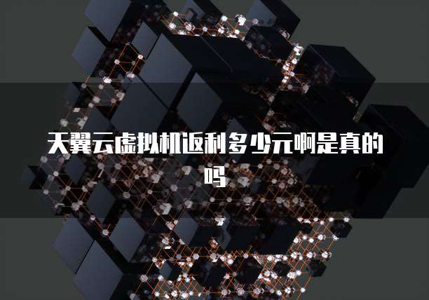 天翼云虚拟机返利多少元啊是真的吗