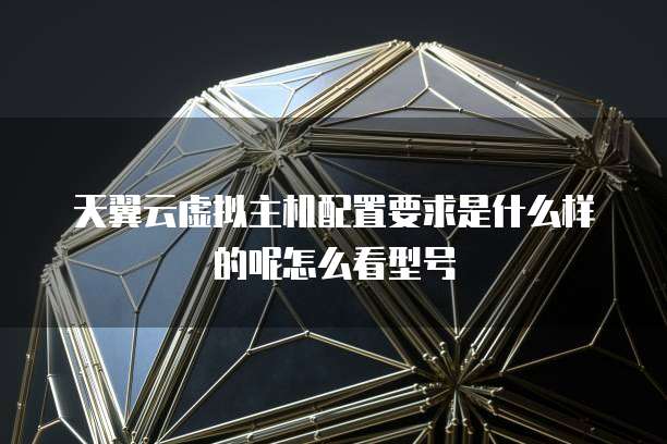 天翼云虚拟主机配置要求是什么样的呢怎么看型号