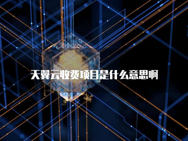 天翼云收费项目是什么意思啊