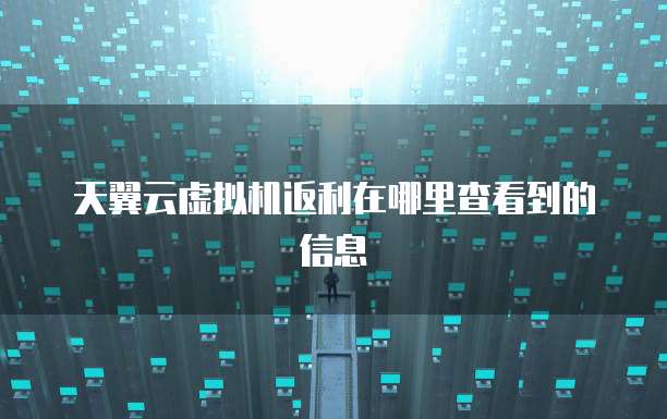 天翼云虚拟机返利在哪里查看到的信息