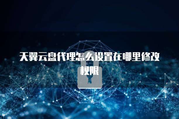 天翼云盘代理怎么设置在哪里修改权限