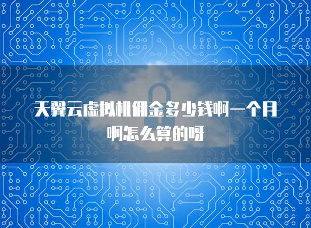 天翼云虚拟机佣金多少钱啊一个月啊怎么算的呀