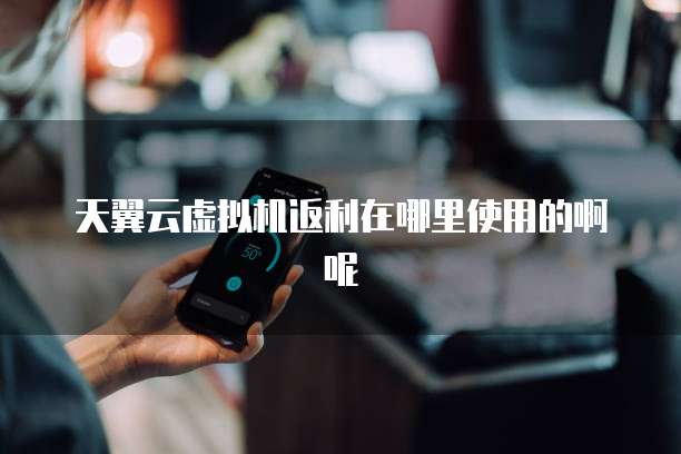 天翼云虚拟机返利在哪里使用的啊呢