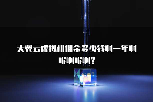 天翼云虚拟机佣金多少钱啊一年啊呢啊呢啊?