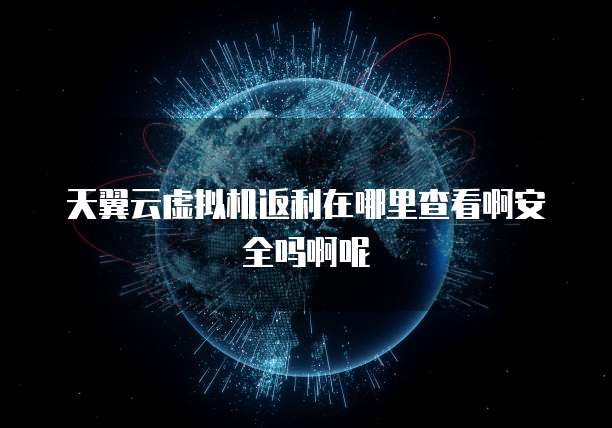 天翼云虚拟机返利在哪里查看啊安全吗啊呢