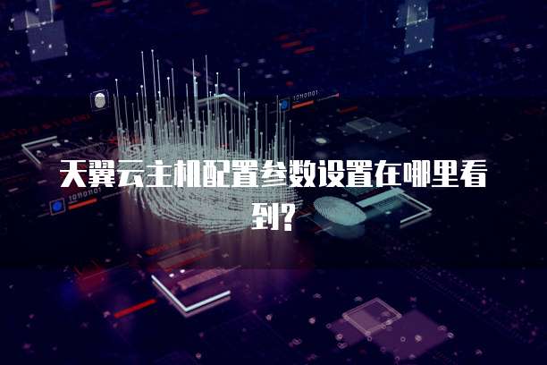 天翼云主机配置参数设置在哪里看到?