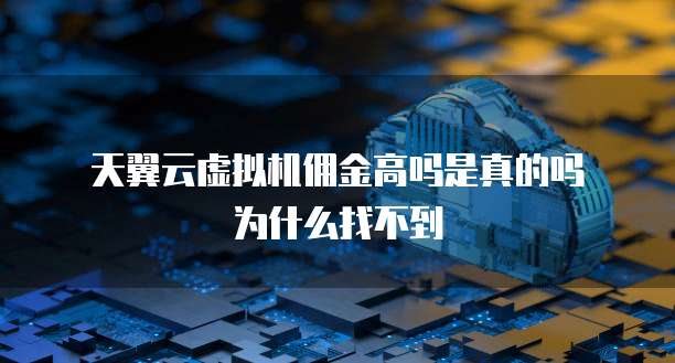 天翼云虚拟机佣金高吗是真的吗为什么找不到