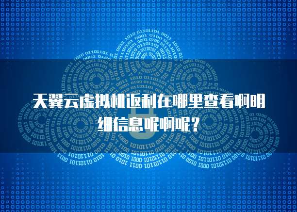 天翼云虚拟机返利在哪里查看啊明细信息呢啊呢?