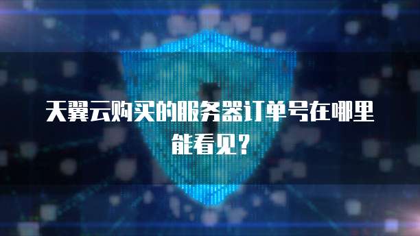 天翼云购买的服务器订单号在哪里能看见?