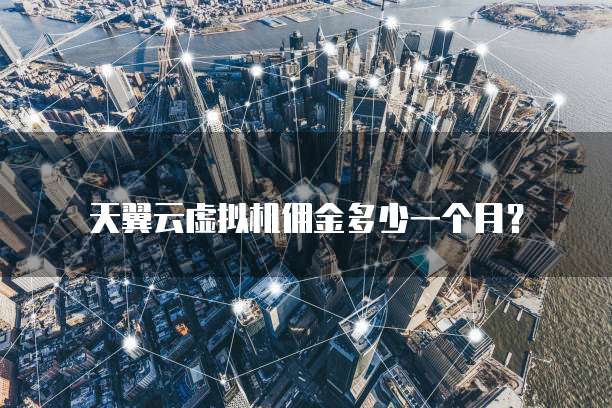 天翼云虚拟机佣金多少一个月?