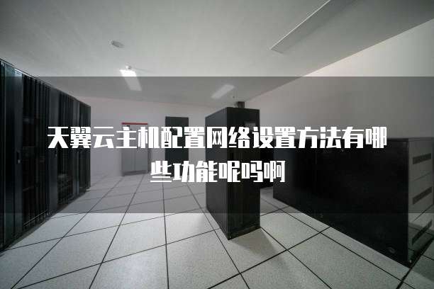 天翼云主机配置网络设置方法有哪些功能呢吗啊