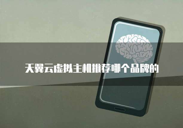 天翼云虚拟主机推荐哪个品牌的