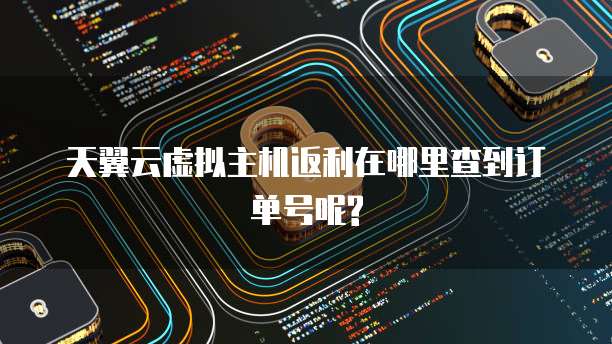 天翼云虚拟主机返利在哪里查到订单号呢?
