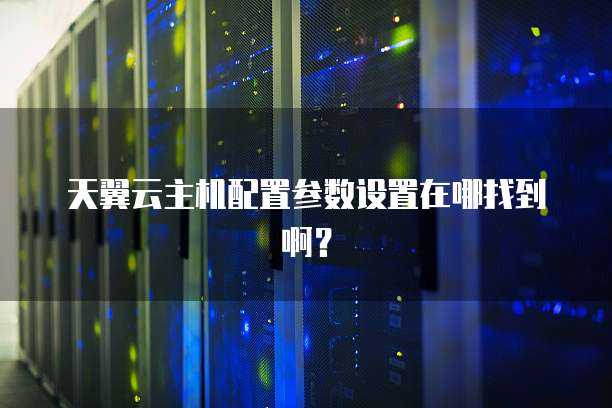 天翼云主机配置参数设置在哪找到啊?