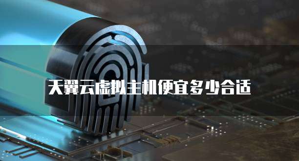 天翼云虚拟主机便宜多少合适
