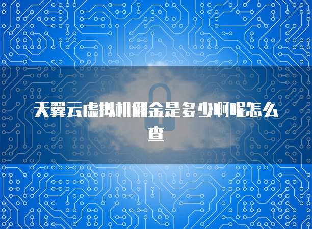 天翼云虚拟机佣金是多少啊呢怎么查