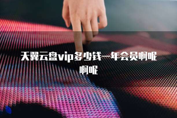 天翼云盘vip多少钱一年会员啊呢啊呢