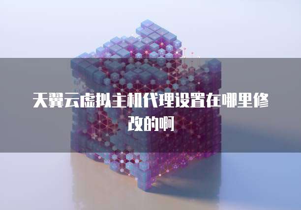 天翼云虚拟主机代理设置在哪里修改的啊