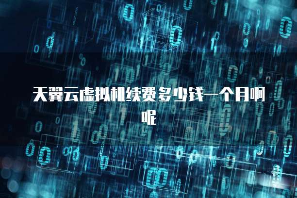天翼云虚拟机续费多少钱一个月啊呢