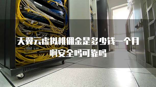 天翼云虚拟机佣金是多少钱一个月啊安全吗可靠吗