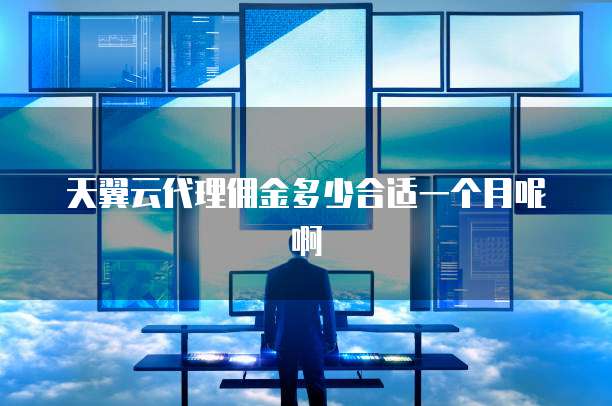 天翼云代理佣金多少合适一个月呢啊