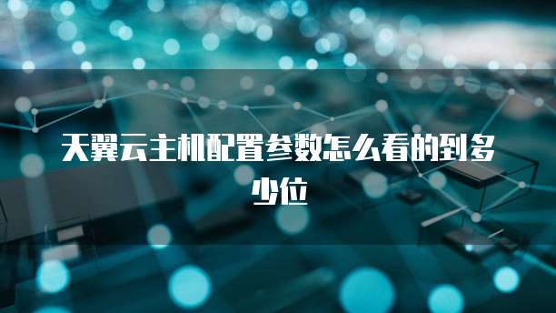天翼云主机配置参数怎么看的到多少位