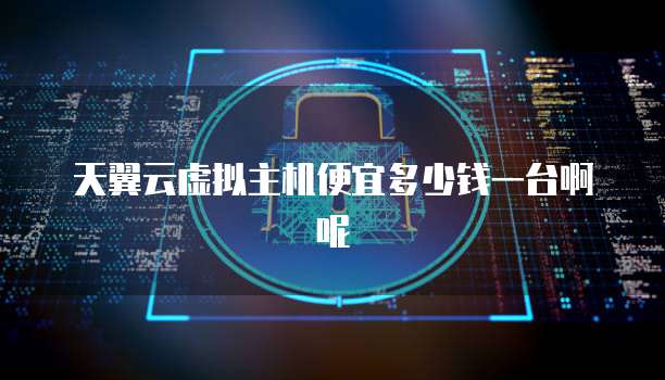 天翼云虚拟主机便宜多少钱一台啊呢