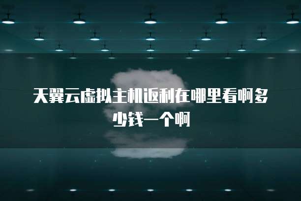 天翼云虚拟主机返利在哪里看啊多少钱一个啊