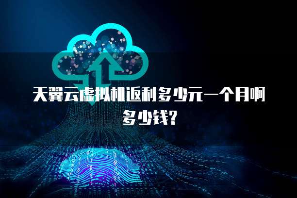 天翼云虚拟机返利多少元一个月啊多少钱?