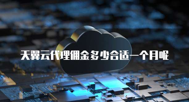 天翼云代理佣金多少合适一个月呢