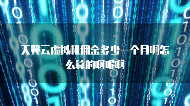 天翼云虚拟机佣金多少一个月啊怎么算的啊呢啊