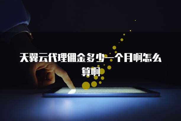 天翼云代理佣金多少一个月啊怎么算啊