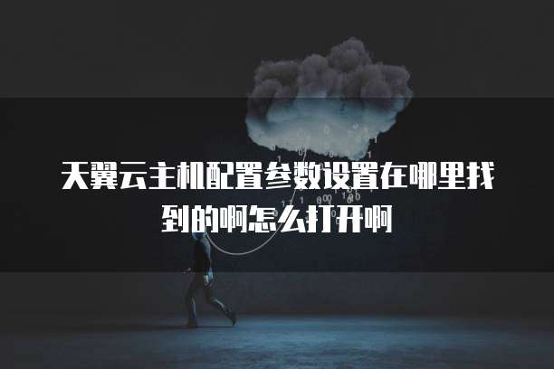天翼云主机配置参数设置在哪里找到的啊怎么打开啊