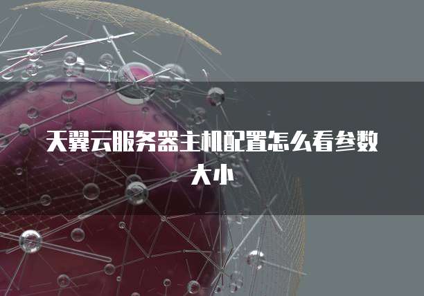 天翼云服务器主机配置怎么看参数大小
