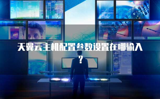 天翼云主机配置参数设置在哪输入？