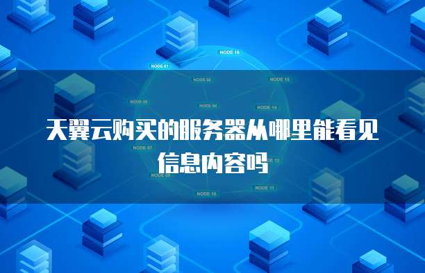 天翼云购买的服务器从哪里能看见信息内容吗