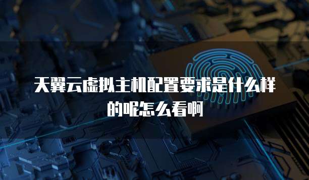 天翼云虚拟主机配置要求是什么样的呢怎么看啊