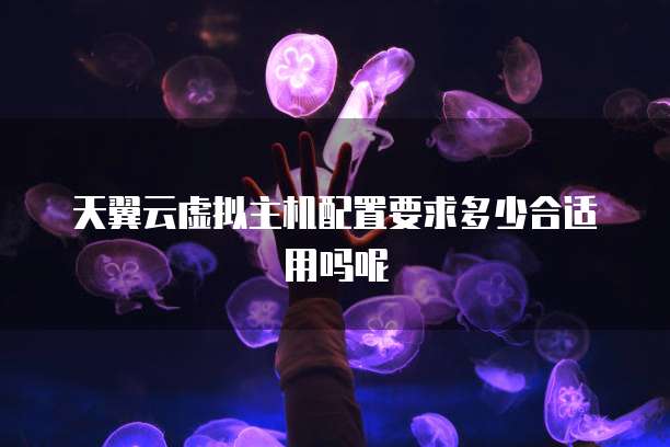 天翼云虚拟主机配置要求多少合适用吗呢
