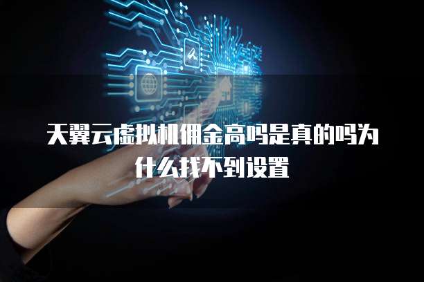 天翼云虚拟机佣金高吗是真的吗为什么找不到设置
