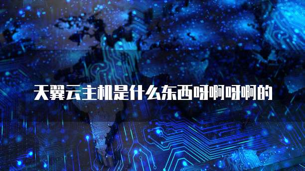 天翼云主机是什么东西呀啊呀啊的