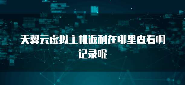 天翼云虚拟主机返利在哪里查看啊记录呢
