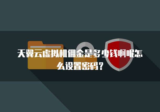 天翼云虚拟机佣金是多少钱啊呢怎么设置密码?